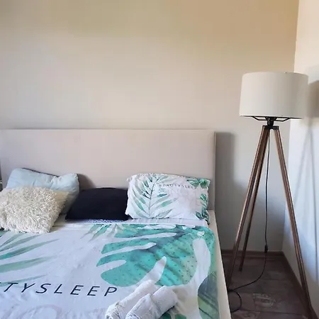 Sleep And Drive Cosy סראייבו